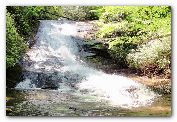 Dog Friendly Cabins and Trails in Helen, Georgia