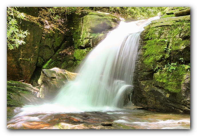 Dog Friendly Cabins and Trails in Helen, Georgia